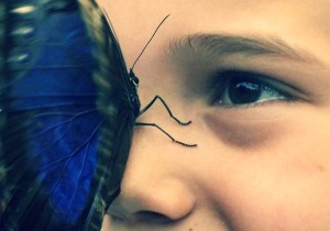 Картинка визуализирована до мелочей - бабочка