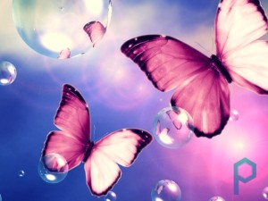 Мое розовое будущее из розовых бабочек